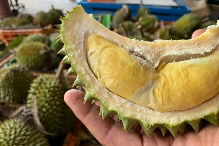 Makan Durian Saat Hamil Ini Yang Perlu Kamu Tahu Halaman All Kompas Com