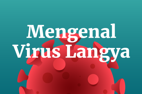 INFOGRAFIK: Mengenal Virus Langya yang Ditemukan di China