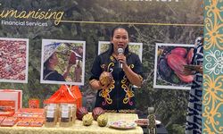 Kisah Kakao Kampung Merasa di Berau, Dulu Dilarang Dimakan Kini Jadi Cuan