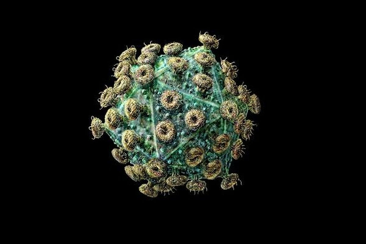 Ilustrasi Human Immunodeficiency Virus (HIV)