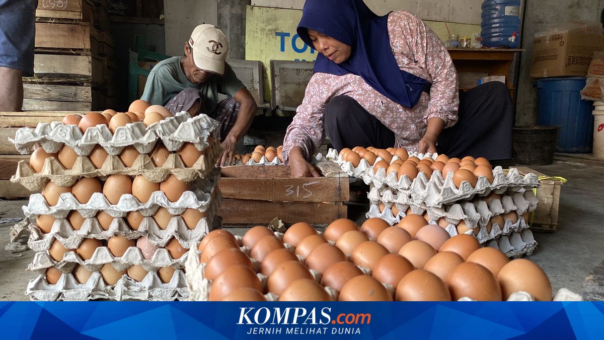 Harga Telur dan Daging Ayam di Indramayu Melejit Jelang Ramadhan, Warga: Berat dan Bikin Pusing