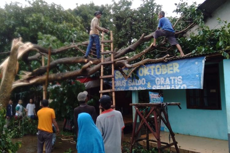 Hujan deras disertai angin kencang menumbangkan sejumlah pohon di kawasan Depok, Jawa Barat pada Minggu (31/10/2021) sore.