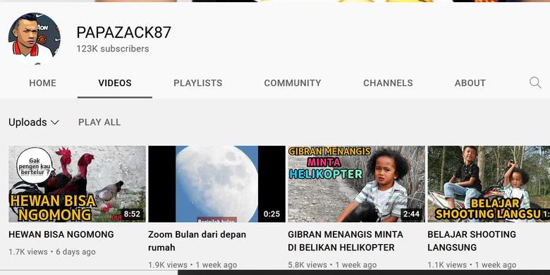 Channel YouTube PAPAZACK87 (Sidimpuan Dubbing).