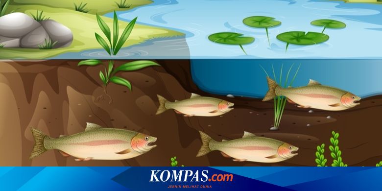 Komponen Abiotik Dalam Ekosistem Halaman All - Kompascom