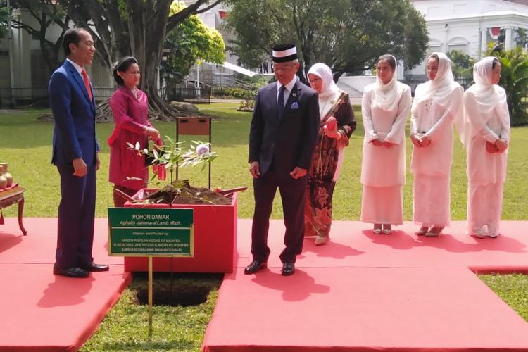 Presiden Joko Widodo, Selasa (27/8/2019), menanam pohon bersama Raja Malaysia Yang di-Pertuan Agong XVI Al-Sultan Abdullah Al-Mustafa Billah Shah Ibni Almarhum Sultan Haji Ahmad Shah Al-Musta’in Billah. 