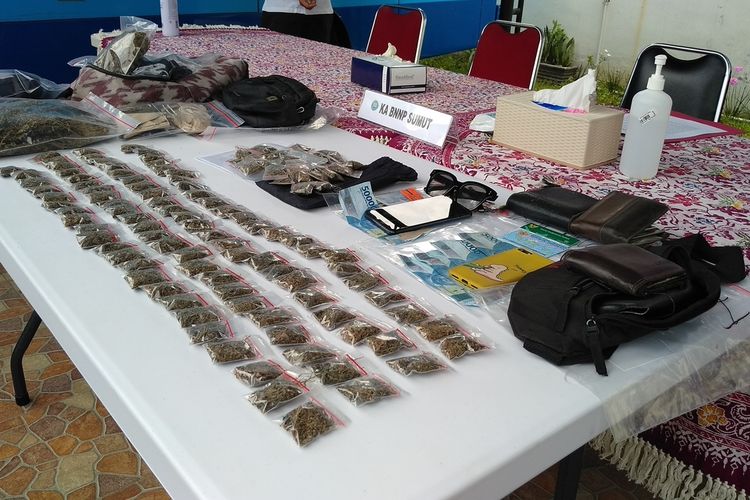 Barang bukti ganja yang diamankan dari razia di kawasan FIB USU dan di Jalan Cemara Ujung, Kelurahan Jati, Kecamatan Medan Kota, oleh BNNP Sumut.