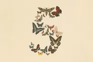 Anthropic Rilis Claude Mythos 5 dan Fable 5, AI Terkuat yang Bikin Ketar-ketir