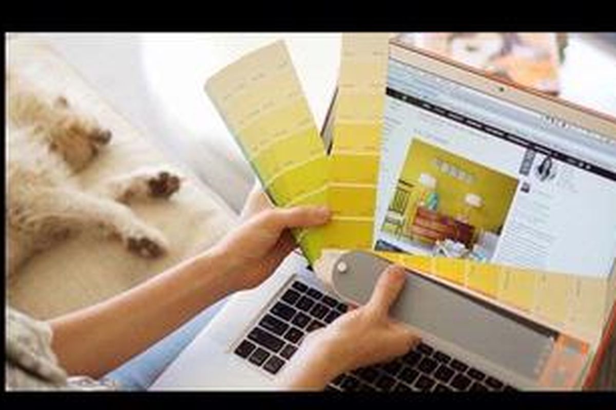 Verbridge mengaku tidak menganjurkan mengambil keputusan berdasarkan warna yang didapat dari internet atau majalah. 