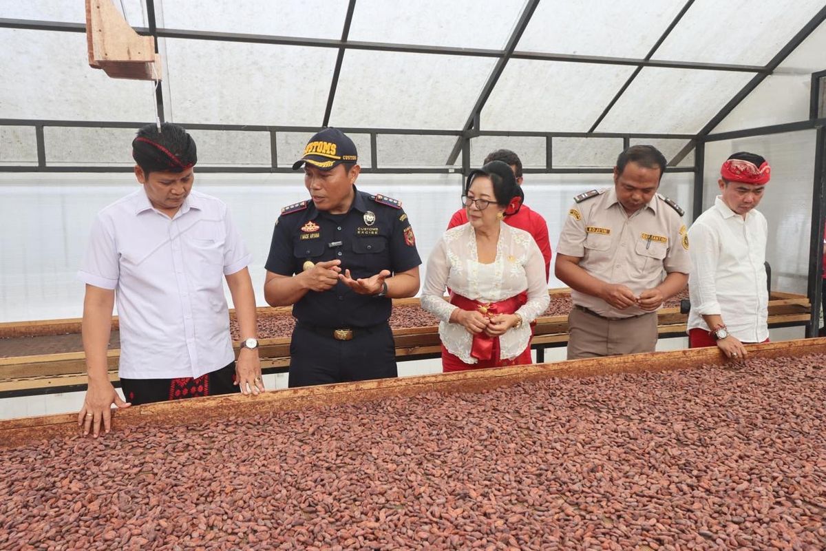 Bupati Jembrana Kembang Hartawan bersama Wakil Bupati Patriana Krisna melepas ekspor Biji Kakao Fermentasi hasil produksi Koperasi Kakao Kerta Semaya Samaniya (KSS) ke Belanda, Minggu (17/8/2025).