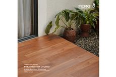 Cocok untuk Desain Rumah Minimalis, Fergio Sediakan Lantai Kayu Berkualitas dengan Corak Beragam