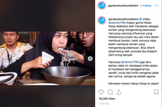 Kritik Konten Makan Gurita Hidup, Garda Satwa Temui Tim Ria Ricis 