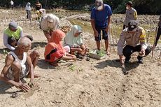 Sungai di Banyumas Mulai Mengering, Warga Manfaatkan untuk Tanam Sayuran