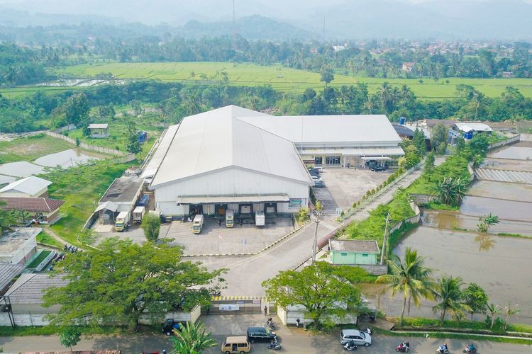 Peternakan ayam PT. QL Trimitra, pemasok daging ayam McDonald's Indonesia.