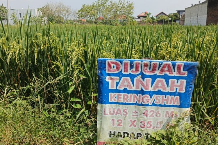 Mengenal Hak Pakai, Kepemilikan Tanah yang Bisa Dikuasai WNA