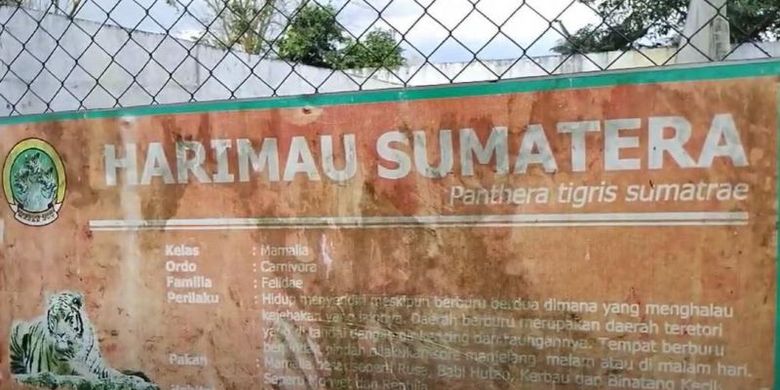 Plang keterangan harimau sumatra di Medan Zoo sudah nampak kusam.