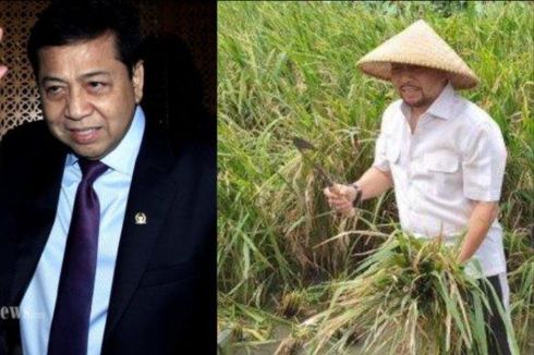 Gaya Baru Setya Novanto, Bawa Sabit hingga Caping Petani