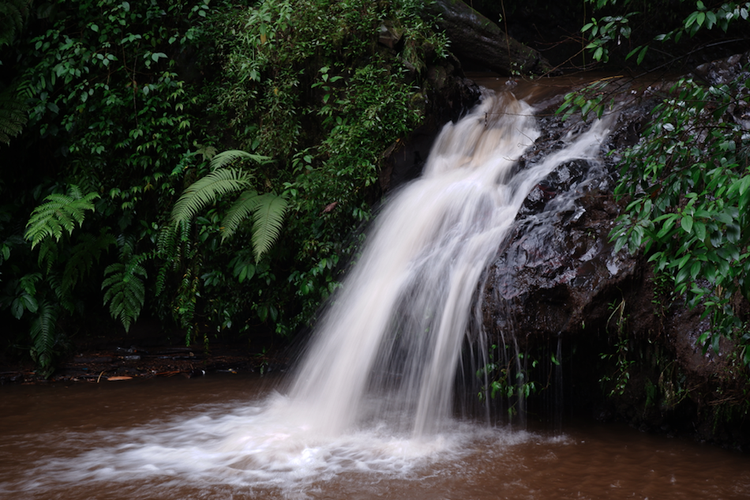 Coban Trisula