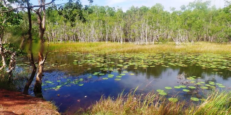 Pemandangan di Taman Nasional Wasur, Papua.