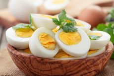 Amankah Penderita Asam Urat Makan Telur?