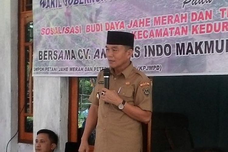 Bupati Bengkulu Selatan, Dirwan Mahmud