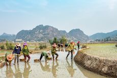 ID Food: Hanya 3 Persen Anak Petani yang Ingin Jadi Petani...