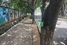 Pohon di Tengah Jalan Margonda Depok Dipasangi 