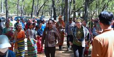 Tawarkan Keindahan Hutan Bonsai, Desa Fatumnasi Masuk 50 Desa Wisata Terbaik ADWI 2024