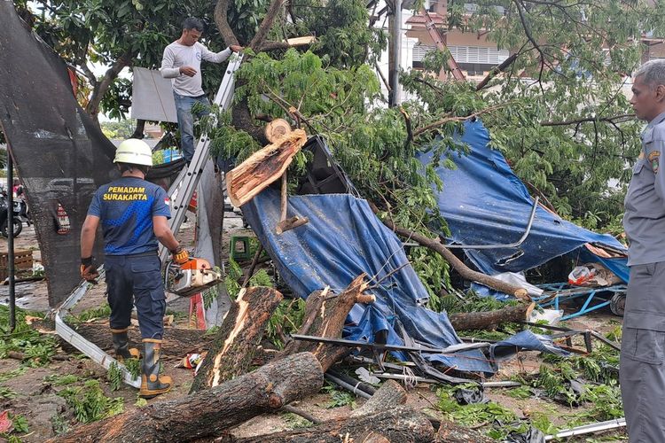 Hujan Lebat Disertai Petir dan Angin Kencang Terjang Solo, Pohon Tumbang, 1 Warung Hancur