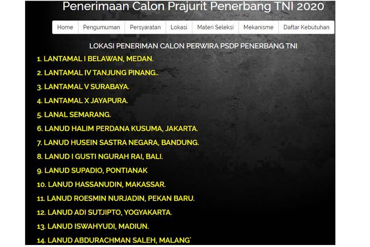 Tangkapan layar laman resmi rekrutmen TNI.
