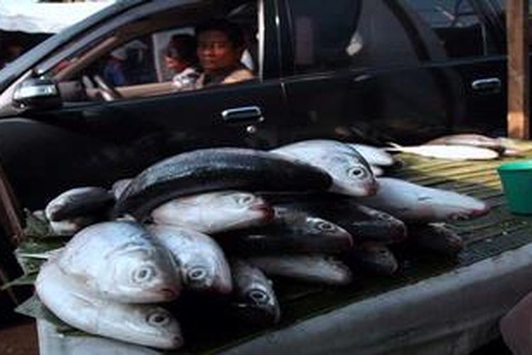 Pengguna jalan melintas di depan lapak pedagang ikan bandeng di Kawasan Rawa Belong, Jakarta Barat, Jumat (8/2/2013). Bandeng musiman untuk menyambut Tahun Baru Imlek itu dijual Rp 50.000 per kilogram. 
