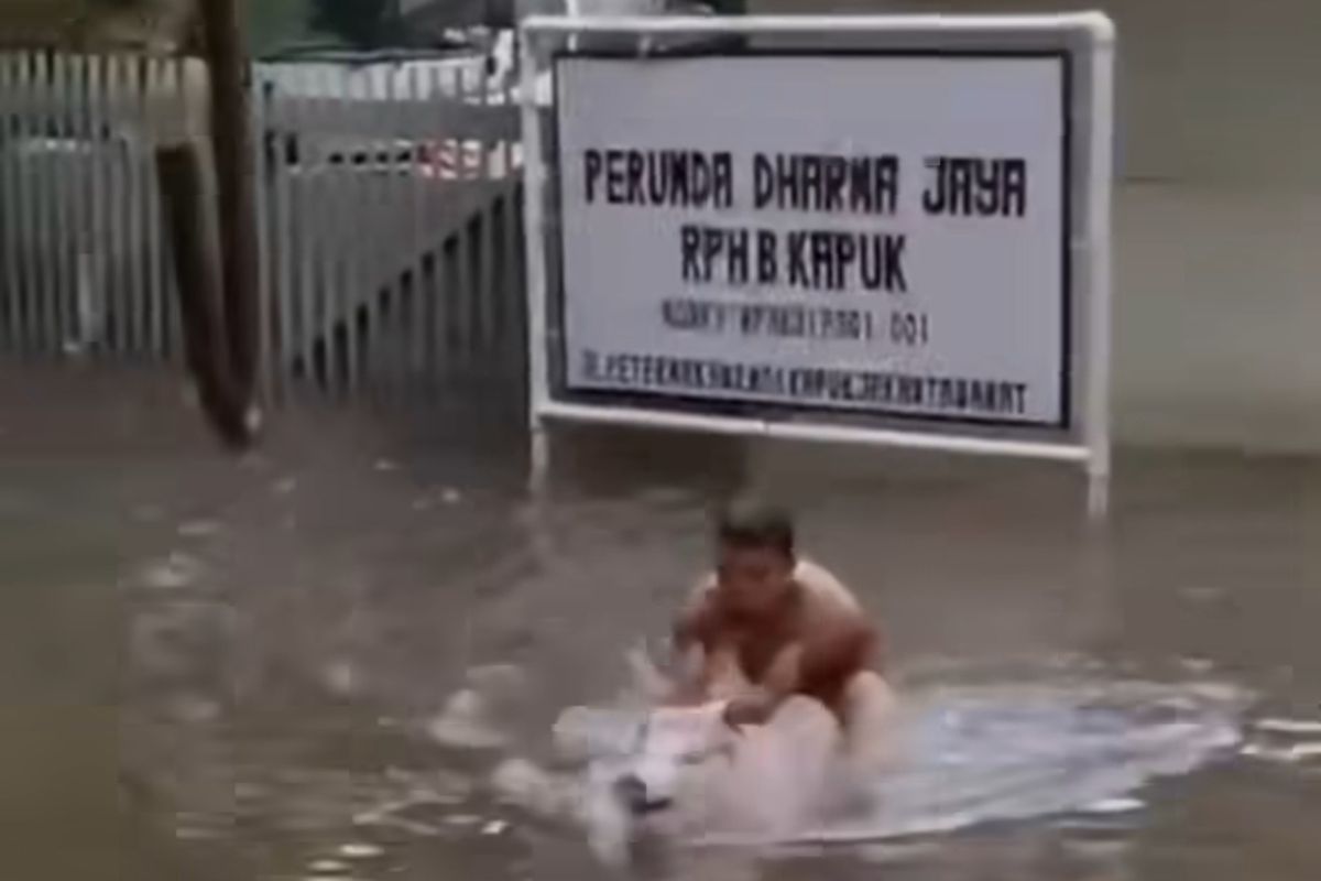 Saiful Bahri (43) terekam dalam video sedang menaiki babi di Rumah Pemotongan Hewan Babi (RPHB) Kapuk, Rabu (29/1/2025).
