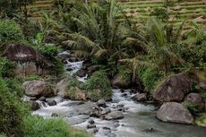 Desa Wisata Jadi Pilihan Masyarakat Selama Liburan Lebaran 2022