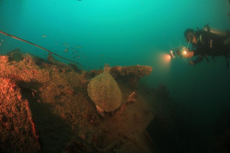 Pesona bawah laut Mandeh di Sumatera Barat.