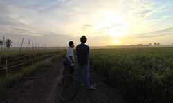 Kementerian Pertanian Janji Bayar Utang Pupuk Bersubsidi