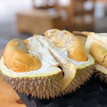 Ilustrasi buah durian yang matang sempurna