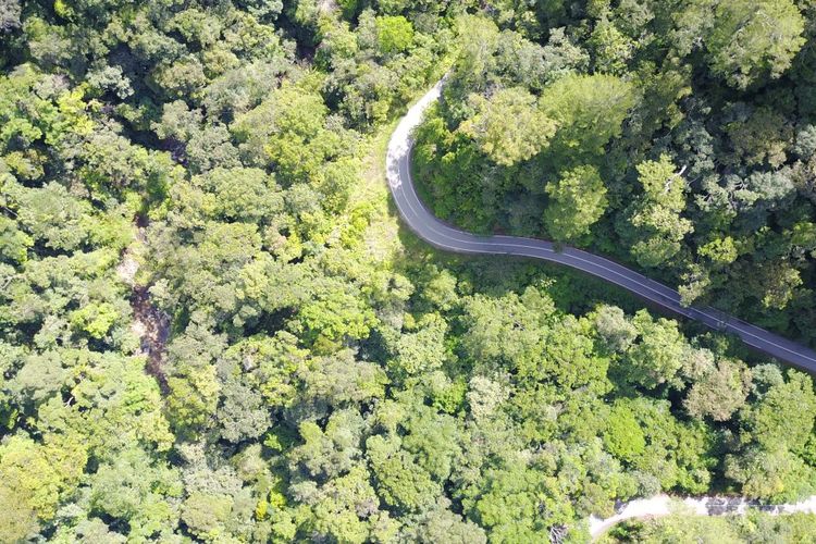 Taman Nasional Gunung Kerinci Seblat