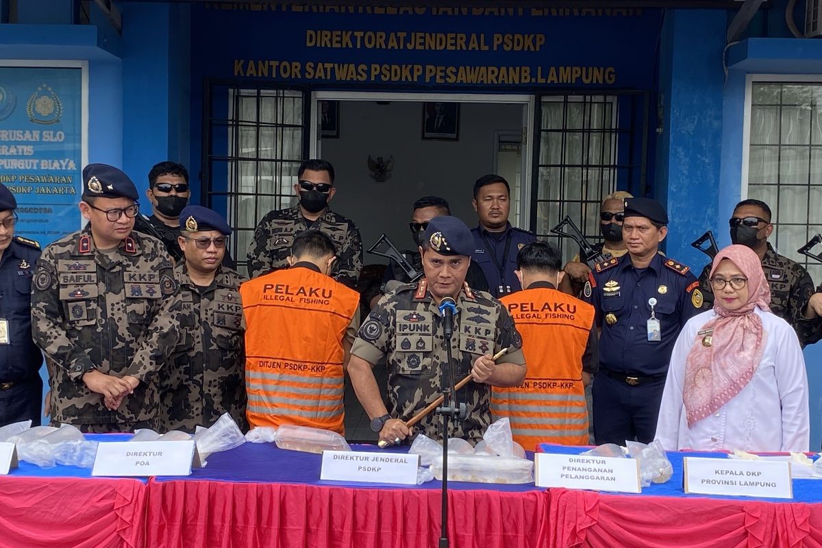 KKP Gagalkan Penyelundupan Benih Lobster Senilai Rp 7,5 M di Lampung