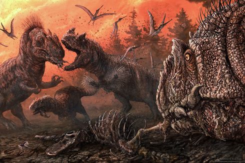 Kanibalisme Antar Spesies Dinosaurus Karnivora Pernah Terjadi, Ini Buktinya