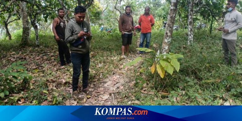 "Kami Harus Jalan Kaki Belasan Kilometer Cari Sinyal Telepon, Kapan Desa Kami Ada Sinyal?"