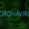 19 Kasus Positif Virus Corona di Indonesia, Berikut Daftar 103 Negara Terinfeksi Covid-19