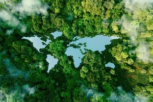 22 dari 34 “Tanda Vital” Bumi Dalam Kondisi Darurat, Ilmuwan Peringatkan Ini