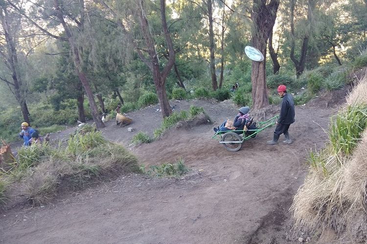 Pengojek atau supir supir taksi mengantarkan wisatawan menuruni jalur pendakian Gunung Ijen, Jawa Timur (9/9/2017). Pengojek atau supir taksi itu akan mengantarkan wisatawan menggunakan gerobak.