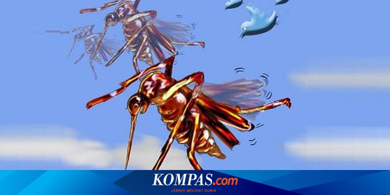 Cara Ini Diklaim Berantas Nyamuk Dbd Tanpa Fogging Dan Obat Benarkah Halaman All Kompas Com Cara Ini Diklaim Berantas Nyamuk Dbd Tanpa Fogging Dan Obat Benarkah Halaman All Kompas Com