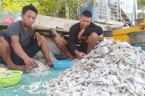 Nelayan di Semarang Heran, Harga Ikan Asin Anjlok Saat Hasil Tangkapan Berkurang