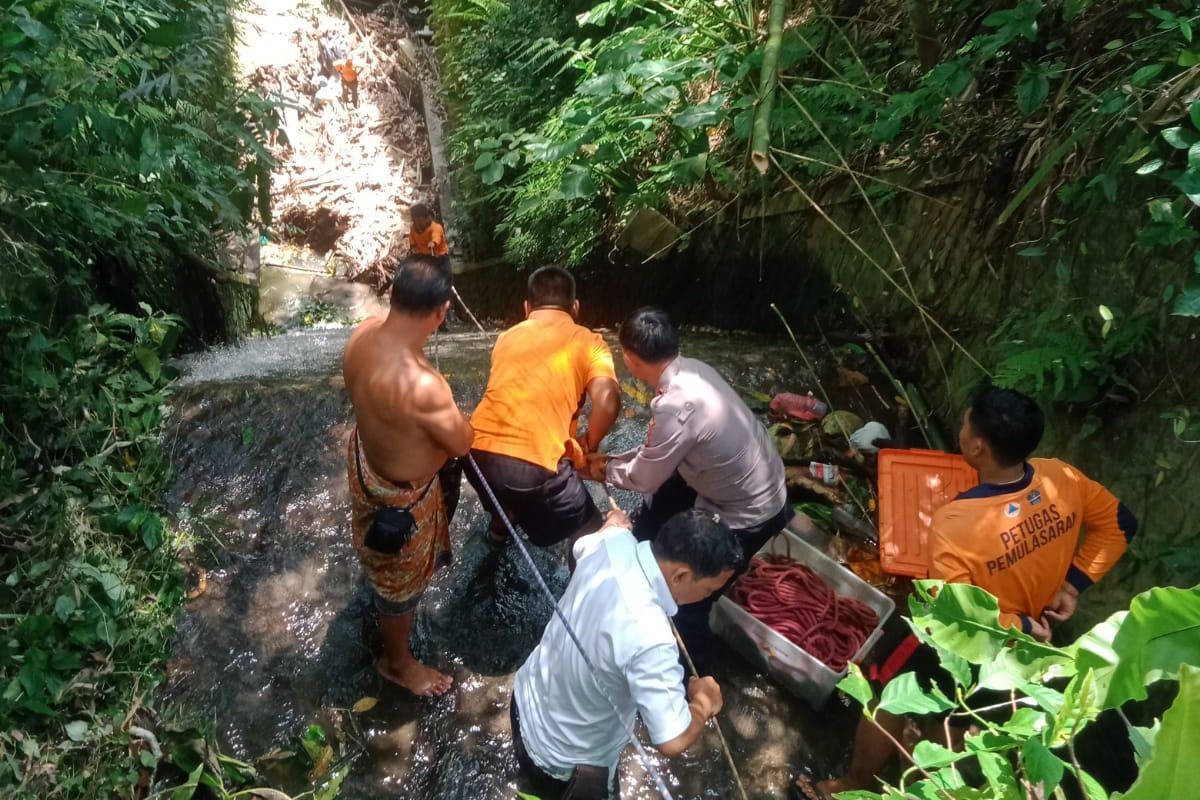 Petugas Polsek Ubud bersama warga saat berupaya mengevakuasi jenazah warga negara Rusia, berinisial KM (24), yang tewas usai jatuh ke jurang sedalam 30 meter di Sungai Tuyung, Lingkungan Junjungan, Kecamatan Ubud, Kabupaten Gianyar, Provinsi Bali, pada Sabtu (14/1/2023) sekitar pukul 11.20 Wita./ Dok. Polsek Ubud