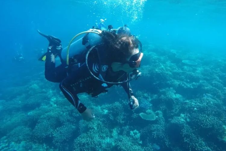 BTNK: 20 Menit Bukan Batas Waktu Menyelam, tapi Interval Antar-Grup