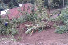 Hujan Deras Akibatkan Tanah longsor, 3 Rumah di Talun-Ponorogo Roboh