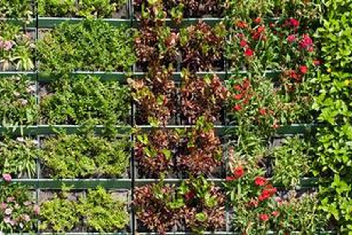 Kunci sukses agar taman vertikal Anda selalu tampil menarik adalah ketersediaan suplai listrik, sumber air, dan pemilihan jenis tanaman yang tepat.