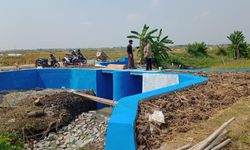 6 Langkah Kementan untuk Mitigasi Dampak La Niña