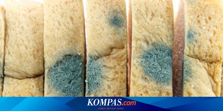 Bahaya Jamur pada Roti, Jangan Dikonsumsi